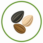 Seeds