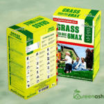 Agrimax Grass 6Max Bermuda Cynodon Dactylon Grass Seeds – 1kg Box for Lush Lawns – Home Growing Seeds