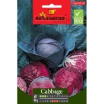 Red Cabbage Home Growing Seeds