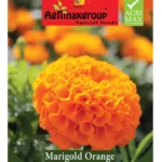 Agrimaxgroup Marigold Orange Seeds (Ag1002) – Home Growing Seeds