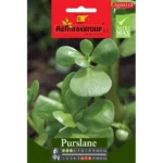 Agrimaxgroup Purslane Seeds (Ag0158) – Grow Nutritious, Succulent Purslane in Your Garden – Home Growing Seeds