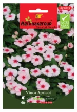 Agrimaxgroup Vinca Apricot Seeds (Ag1005) – Home Growing Seeds