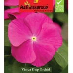 Agrimaxgroup Vinca Deep Orchid Seeds (Ag1007) – Home Growing Seeds