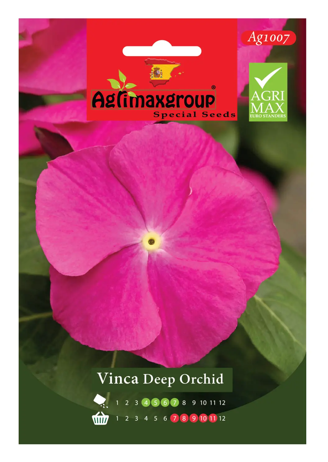 agrimaxgroup-vinca-deep-orchid-seeds-ag1007.webp Agrimaxgroup Vinca Deep Orchid Seeds (Ag1007) – Home Growing Seeds - Image 1