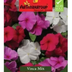 Agrimaxgroup Vinca Mix Seeds (Ag1008) – Home Growing Seeds