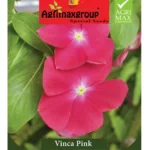 Agrimaxgroup Vinca Pink Seeds (Ag1010) – Home Growing Seeds