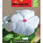 Agrimaxgroup Vinca Polka Dot Seeds (Ag1009) – Striking White Blooms with a Red Center – Home Growing Seeds