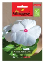 Agrimaxgroup Vinca Polka Dot Seeds (Ag1009) – Striking White Blooms with a Red Center – Home Growing Seeds