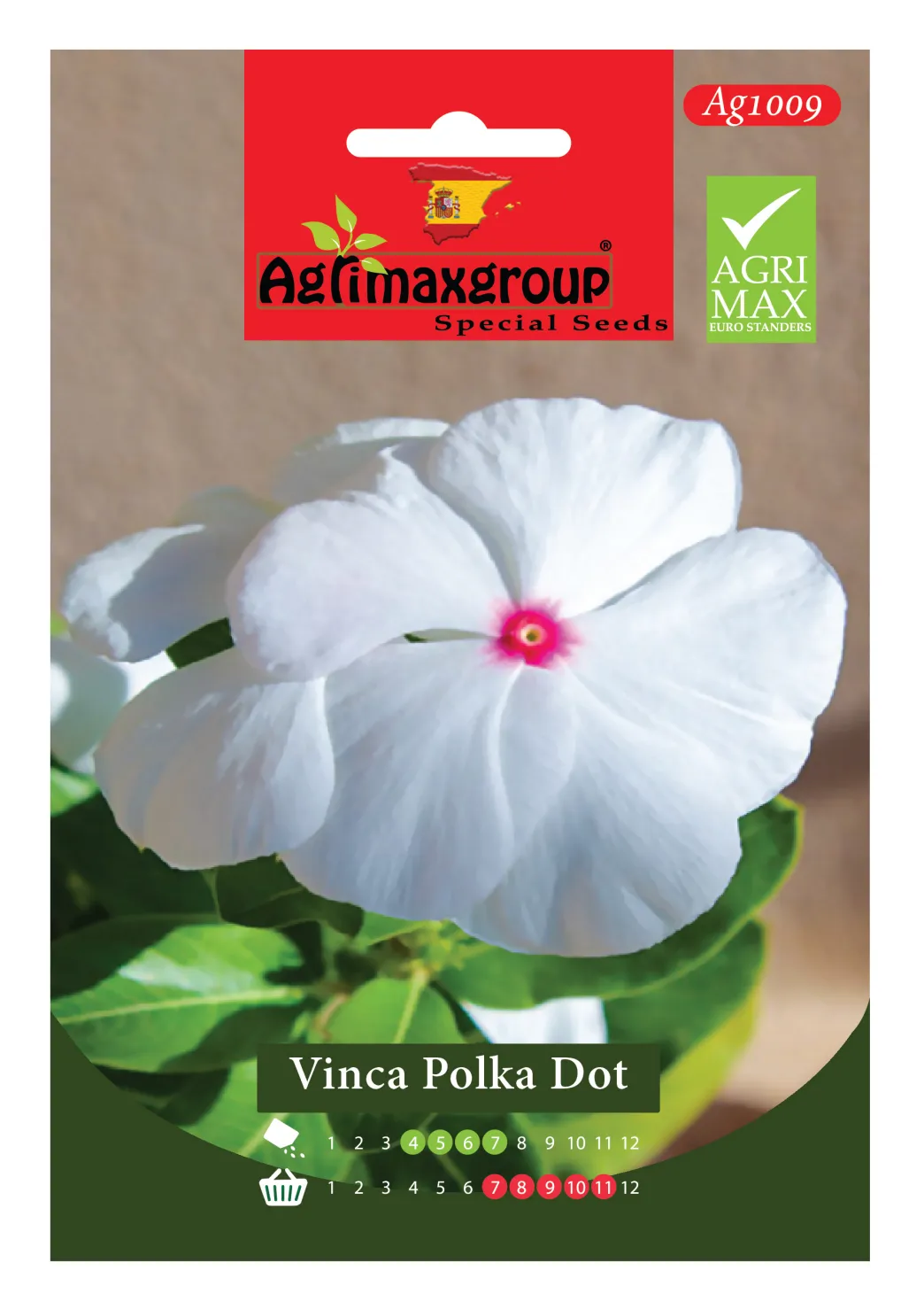 agrimaxgroup-vinca-polka-dot-seeds-ag1009.webp Agrimaxgroup Vinca Polka Dot Seeds (Ag1009) – Striking White Blooms with a Red Center – Home Growing Seeds - Image 1
