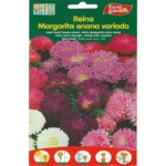 Aster Dwarf Queen Mixed Flower Seeds – Vibrant Garden Variety – Home Growing Seeds