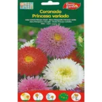 Aster Ostrich Princess Mixed Seeds – Elegant Vibrant Blooms – Home Growing Seeds