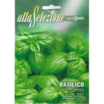 Alta Selezione Basil Quality Seeds (Basilico Italiano Classico) – Home Growing Seeds