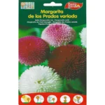 Bellis Pomponette Mix Flower Seeds – Vibrant Garden Blooms – Home Growing Seeds