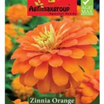 Agrimaxgroup Zinnia Orange Seeds (Ag1018) – Home Growing Seeds