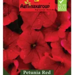 Agrimaxgroup Petunia Red Seeds (Ag1015) – Home Growing Seeds