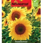 Agrimaxgroup Sunflower Seeds (Ag1030) – Home Growing Seeds