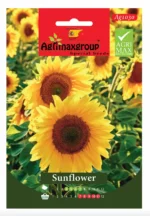 Agrimaxgroup Sunflower Seeds (Ag1030) – Home Growing Seeds