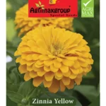 Agrimaxgroup Zinnia Yellow Seeds (Ag1022) – Home Growing Seeds