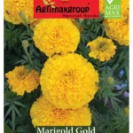 Agrimaxgroup Marigold Gold Seeds (Ag1001) – Home Growing Seeds