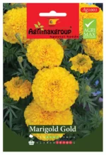 Agrimaxgroup Marigold Gold Seeds (Ag1001) – Home Growing Seeds