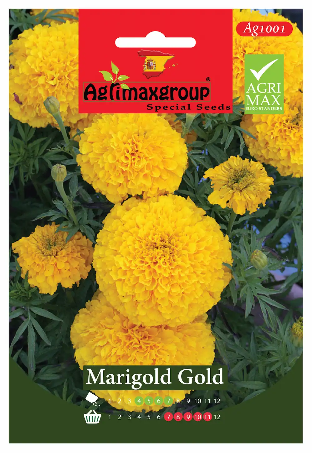 bright-yellow-blooms-for-gardens-borders.webp Agrimaxgroup Marigold Gold Seeds (Ag1001) – Home Growing Seeds - Image 1