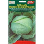 Cabbage Mercado de Copenhague 2 Seeds – Garden Variety – Home Growing Seeds – 2Seeds