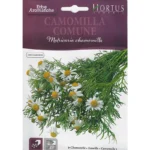 Hortus Chamomile Seeds – Camomilla Comune (Common Chamomile) – Home Growing Seeds