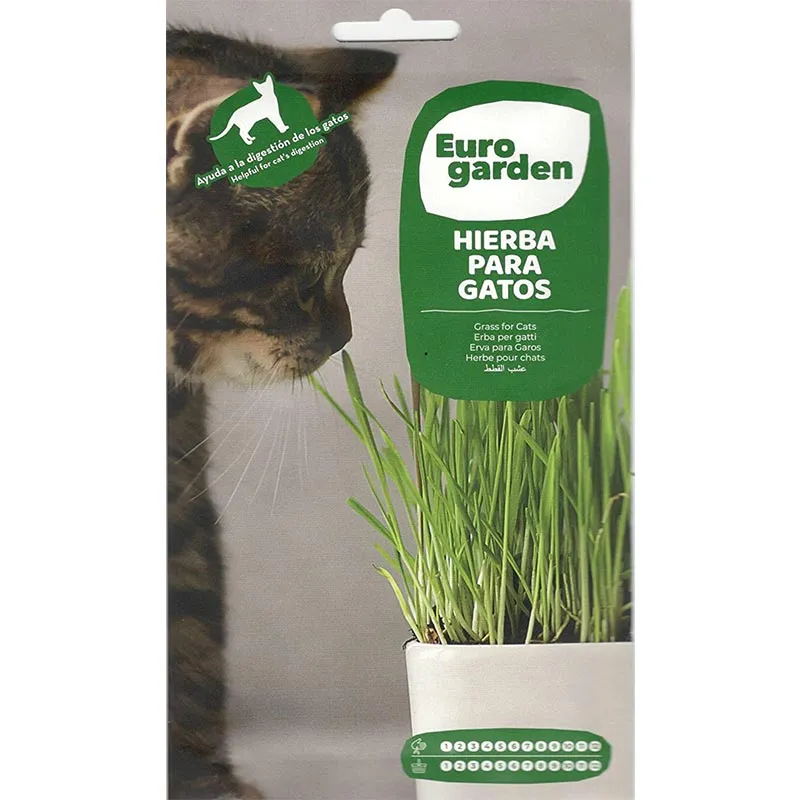 cat-grass-hierba-para-gatos1.webp Fresh Cat Grass Seeds for Indoor Pet Pots and Home Planters | Euro Garden - Image 1