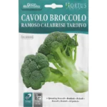 Hortus Sprouting Broccoli Seeds – Calabrese Tardivo Variety – Home Growing Seeds