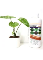 Changong EC – Broad-Spectrum Insecticide (Lambda-cyhalothrin 5%) – Pest - Image 2