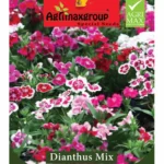 Agrimaxgroup Dianthus Mix Seeds (Ag1027) – Colorful Perennial Blooms – Home Growing Seeds