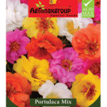Agrimaxgroup Portulaca Mix Seeds (Ag1026) – Colorful, Sun-Loving Blooms – Home Growing Seeds