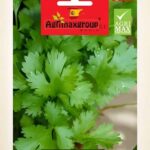 Coriander Seeds for Home Gardening – Fast-Growing Herb AgriMax – Home Growing Seeds