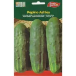 Euro Garden Cucumber Ashley Home Growing Seeds
