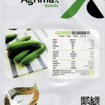 Agrima Salvador F1 Cucumber Seeds – High-Yield Hybrid Variety – Home Growing Seeds