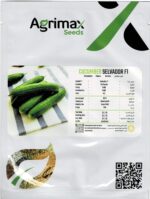 Agrima Salvador F1 Cucumber Seeds – High-Yield Hybrid Variety – Home Growing Seeds