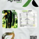 Agrima Zain F1 Cucumber Home Growing Seeds