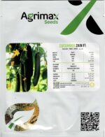 Agrima Zain F1 Cucumber Home Growing Seeds