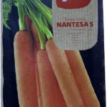 Eco Organic Nantesa 5 Carrot Seeds – Grow Sweet Juicy Carrots – Home Growing Seeds