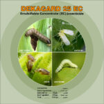 DEKAGARD 25 EC – Emulsifiable Concentrate Insecticide – Liquid Plant Nutrition - Image 3