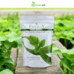 Desert Energy Fast Green – Water Soluble Fertilizer for Iron Deficiency (1kg) – Water Soluble Plant Food