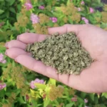 Dr. Earth Pure Gold Organic & Natural All Purpose Fertilizer (2-2-2) – Organic Plant Food – 1.36kg - Image 5