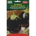 Eggplant Ronde de Valence Seeds – Garden Variety – Home Growing Seeds