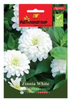 Agrimaxgroup Zinnia White Seeds (Ag1021) – Home Growing Seeds