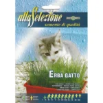 Alta Selezione Catgrass (Erba Gatto) Quality Home Growing Seeds