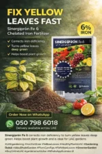 Sinergipron Fe 6% Chelated Iron Plant Nutrition Fertilizer - Image 2