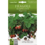 Hortus Strawberry Seeds – Fragole Rampicanti (Climbing Strawberries) – Home Growing Seeds