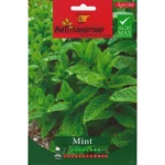 Fresh Mint Home Growing Seeds