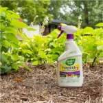 Garden Safe Fungicide 3-in-1 Spray – Organic Fungicide, Insecticide, and Miticide – Fungus & Disease - Image 3