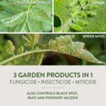 Garden Safe Fungicide 3 Concentrate – Fungus & Disease - Image 6